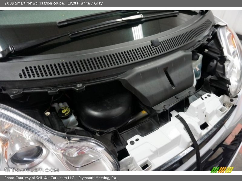 Crystal White / Gray 2009 Smart fortwo passion coupe