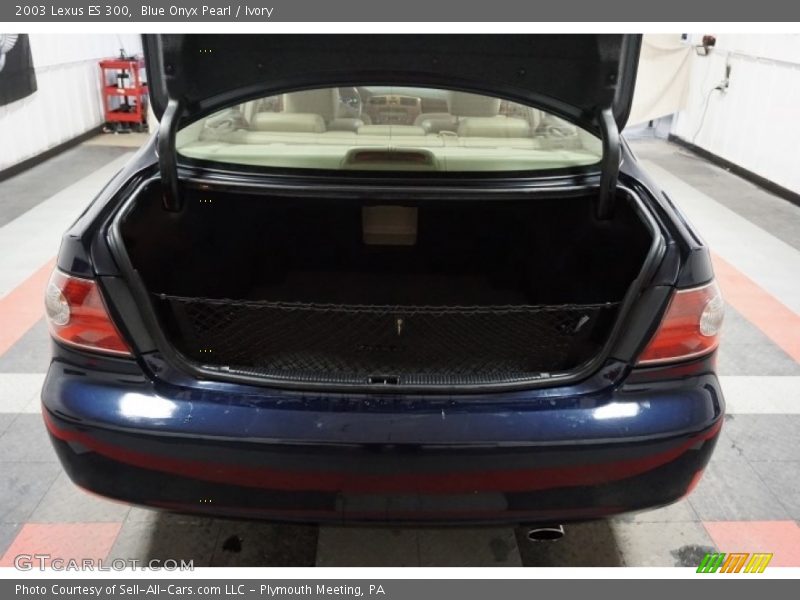 Blue Onyx Pearl / Ivory 2003 Lexus ES 300