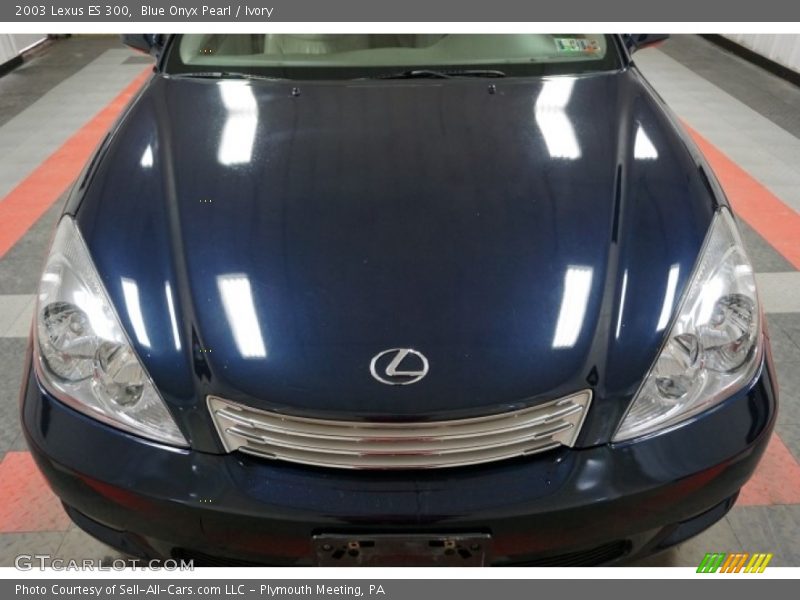 Blue Onyx Pearl / Ivory 2003 Lexus ES 300