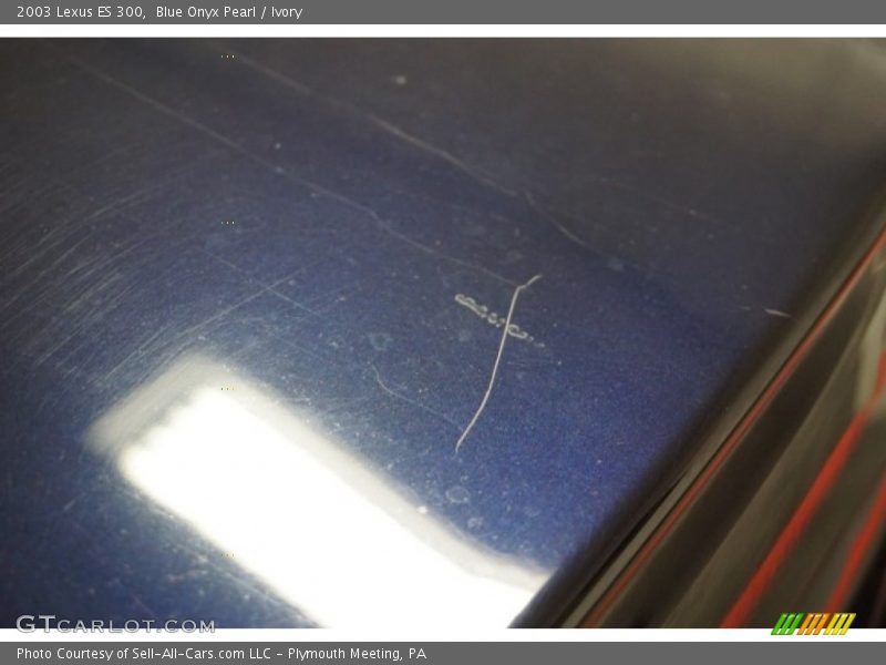 Blue Onyx Pearl / Ivory 2003 Lexus ES 300