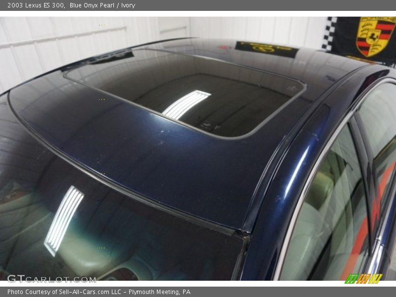 Blue Onyx Pearl / Ivory 2003 Lexus ES 300