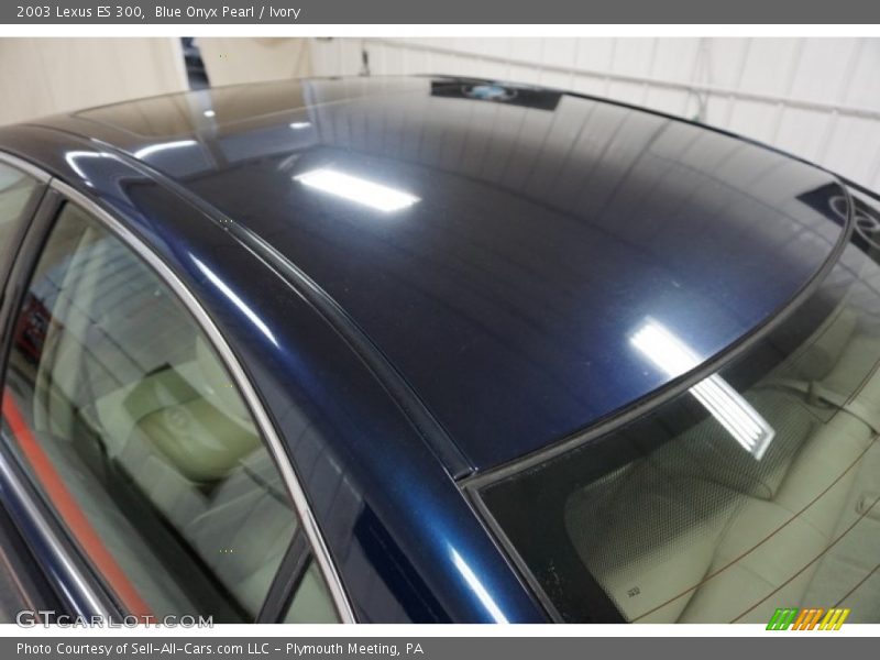 Blue Onyx Pearl / Ivory 2003 Lexus ES 300