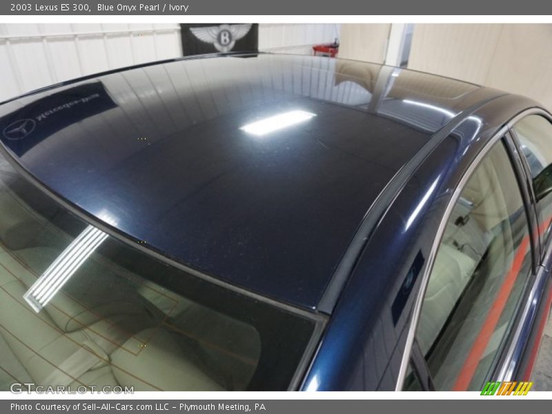 Blue Onyx Pearl / Ivory 2003 Lexus ES 300