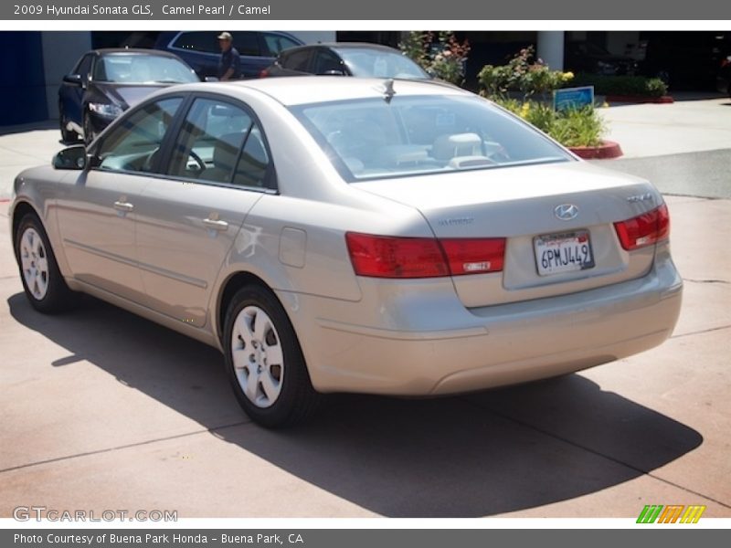 Camel Pearl / Camel 2009 Hyundai Sonata GLS