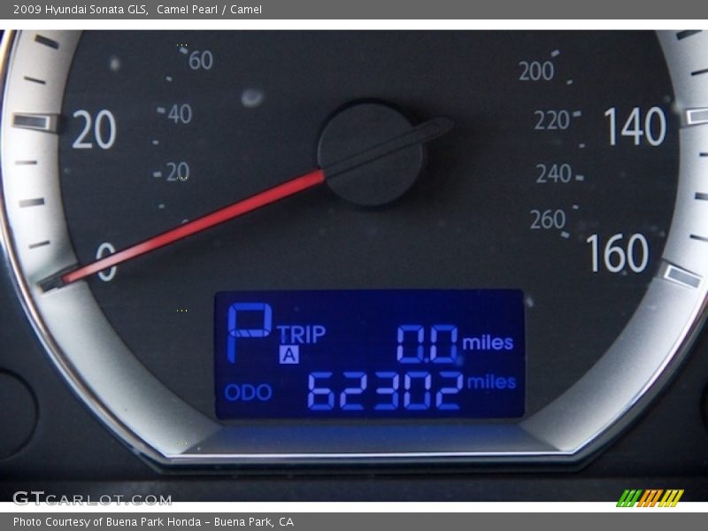 Camel Pearl / Camel 2009 Hyundai Sonata GLS