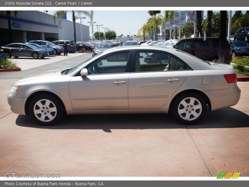 Camel Pearl / Camel 2009 Hyundai Sonata GLS