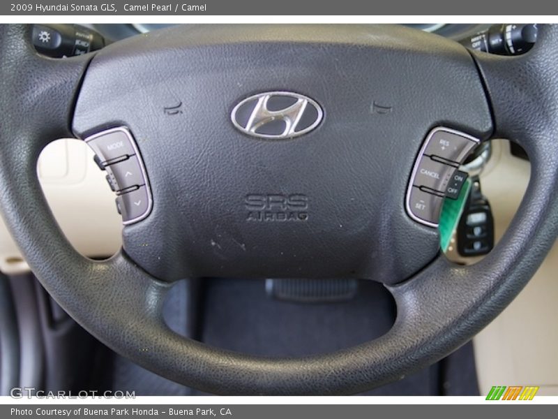 Camel Pearl / Camel 2009 Hyundai Sonata GLS