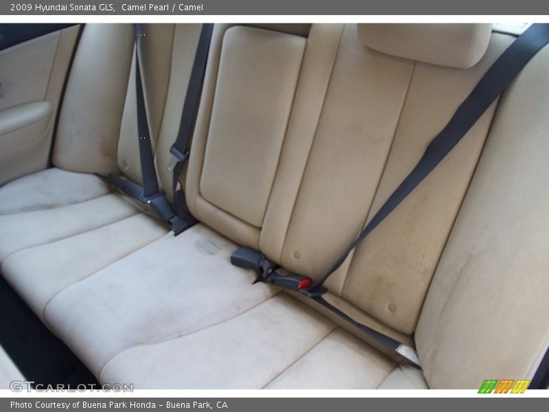 Camel Pearl / Camel 2009 Hyundai Sonata GLS