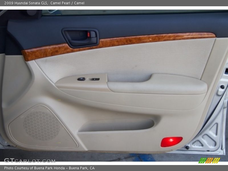 Camel Pearl / Camel 2009 Hyundai Sonata GLS