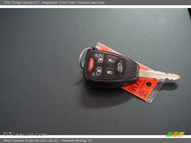 Magnesium Green Pearl / Medium Slate Gray 2005 Dodge Caravan SXT