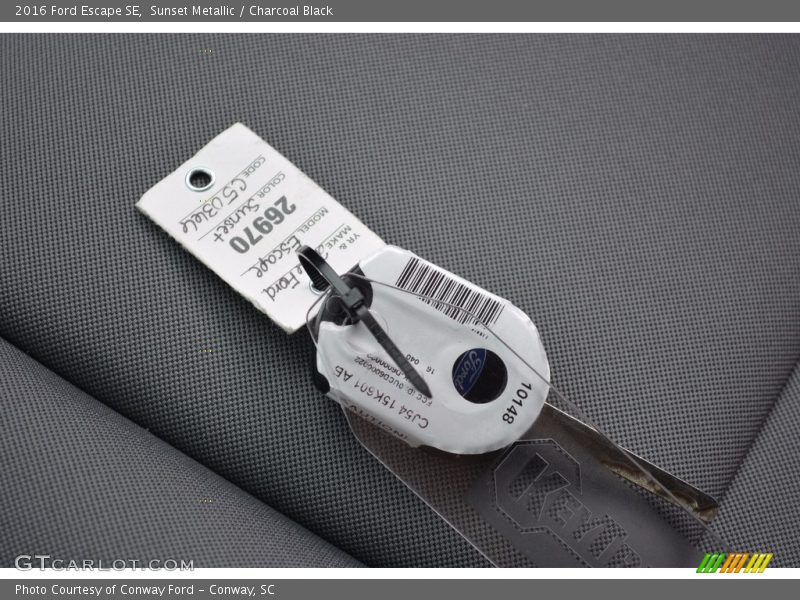 Sunset Metallic / Charcoal Black 2016 Ford Escape SE