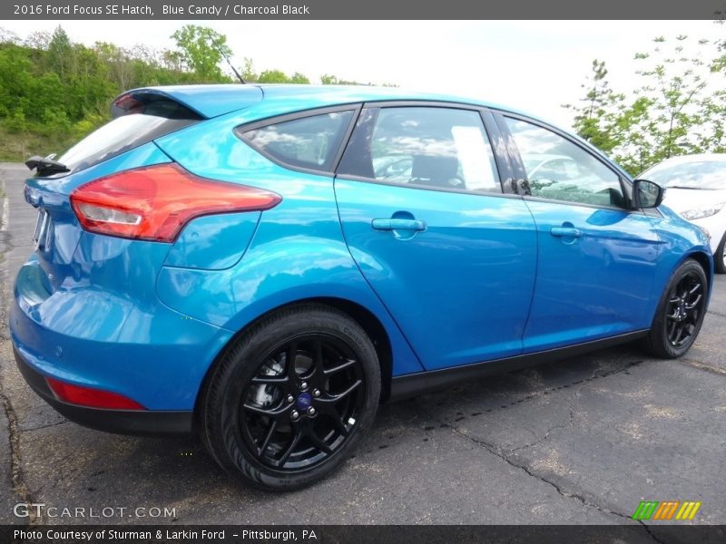 Blue Candy / Charcoal Black 2016 Ford Focus SE Hatch