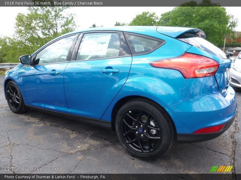 Blue Candy / Charcoal Black 2016 Ford Focus SE Hatch