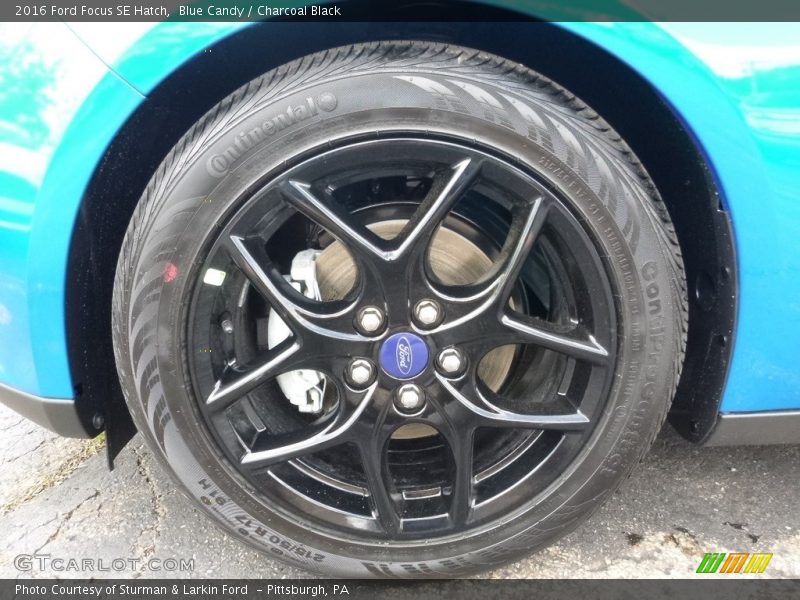 Blue Candy / Charcoal Black 2016 Ford Focus SE Hatch