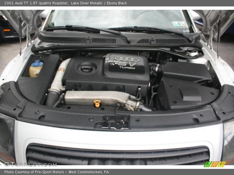 Lake Silver Metallic / Ebony Black 2001 Audi TT 1.8T quattro Roadster