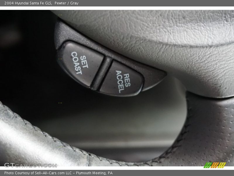 Pewter / Gray 2004 Hyundai Santa Fe GLS