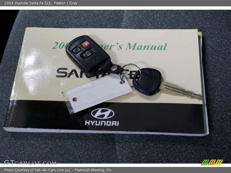 Pewter / Gray 2004 Hyundai Santa Fe GLS