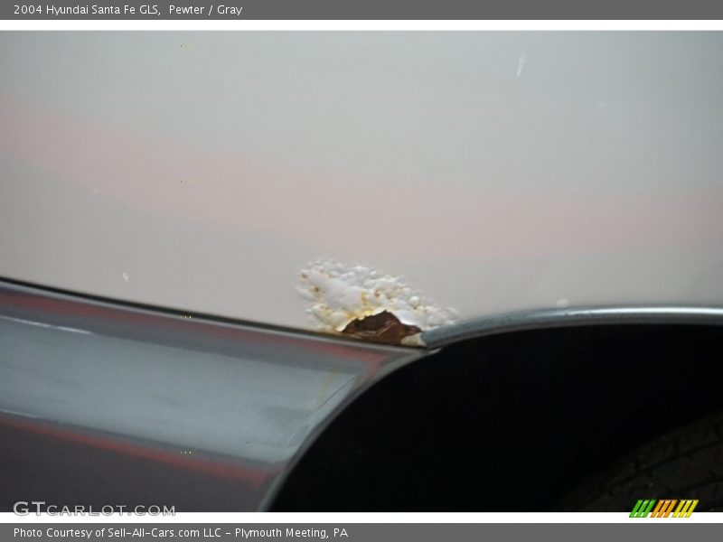 Pewter / Gray 2004 Hyundai Santa Fe GLS