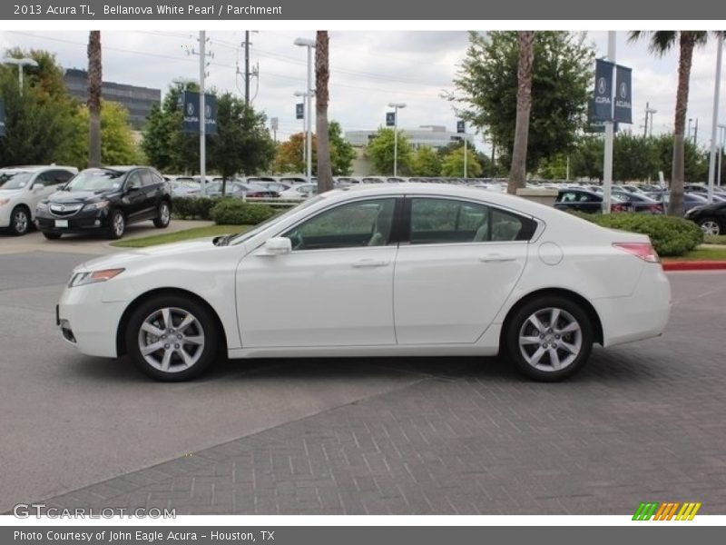 Bellanova White Pearl / Parchment 2013 Acura TL