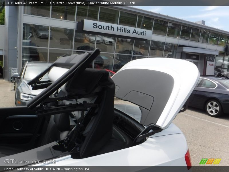 Glacier White Metallic / Black 2016 Audi A5 Premium Plus quattro Convertible