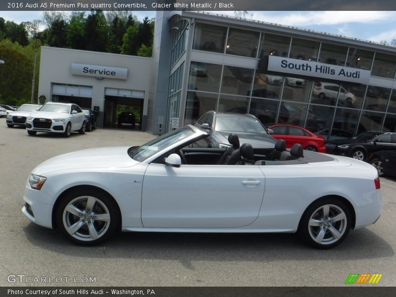 Glacier White Metallic / Black 2016 Audi A5 Premium Plus quattro Convertible