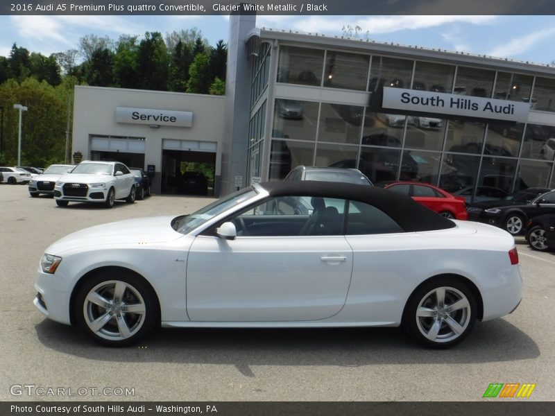 Glacier White Metallic / Black 2016 Audi A5 Premium Plus quattro Convertible