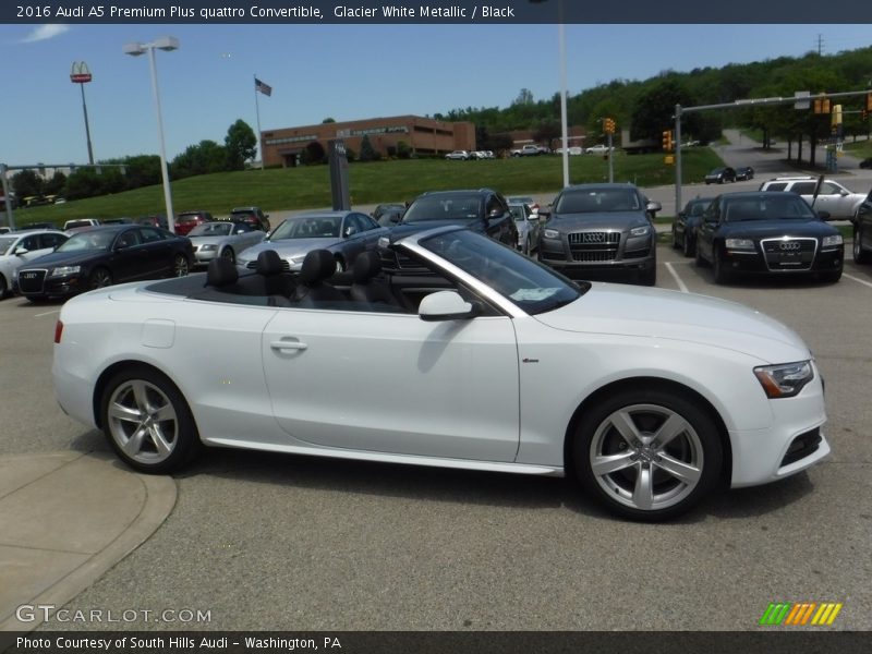 Glacier White Metallic / Black 2016 Audi A5 Premium Plus quattro Convertible