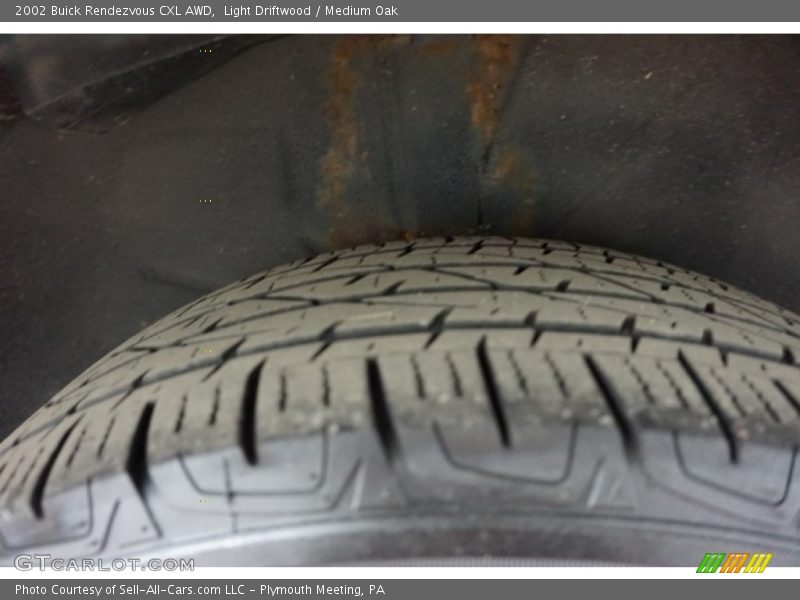 Light Driftwood / Medium Oak 2002 Buick Rendezvous CXL AWD