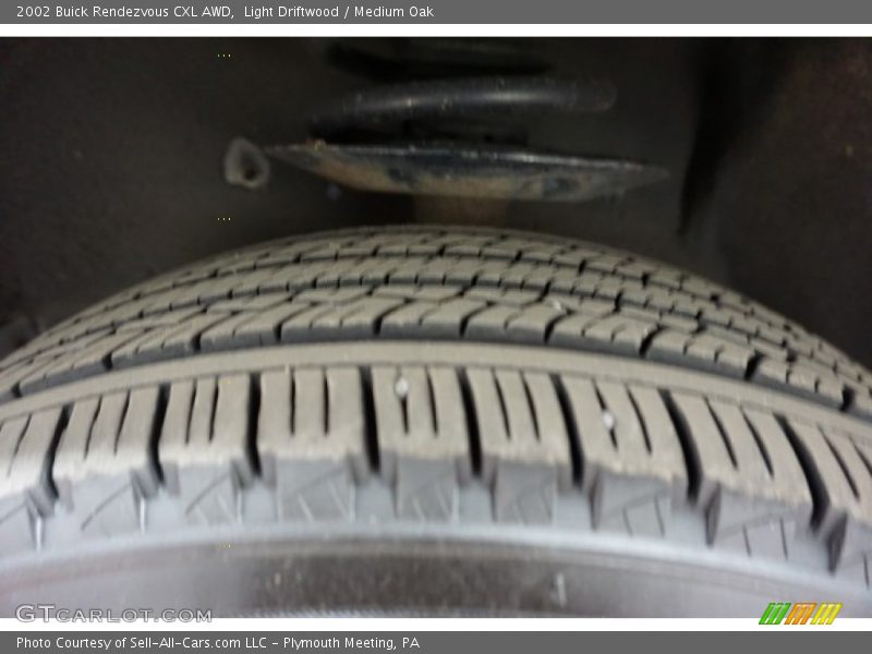 Light Driftwood / Medium Oak 2002 Buick Rendezvous CXL AWD