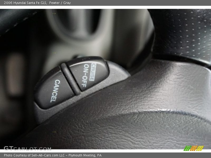 Pewter / Gray 2006 Hyundai Santa Fe GLS