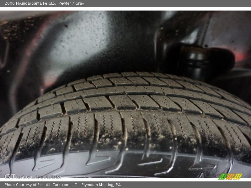 Pewter / Gray 2006 Hyundai Santa Fe GLS