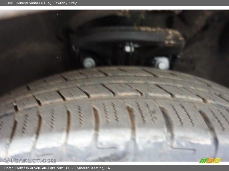 Pewter / Gray 2006 Hyundai Santa Fe GLS