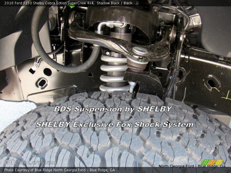 Shadow Black / Black 2016 Ford F150 Shelby Cobra Edtion SuperCrew 4x4