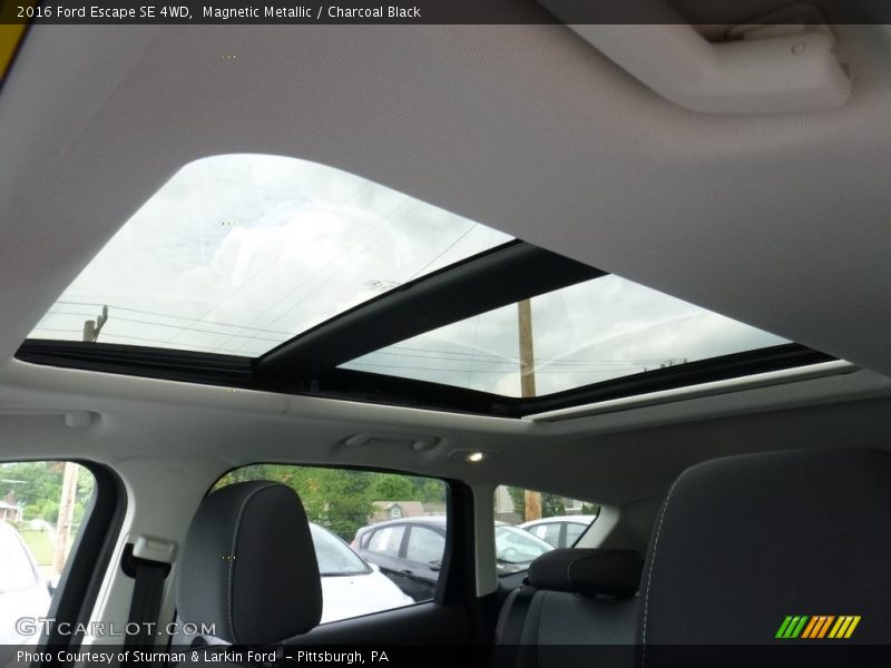 Magnetic Metallic / Charcoal Black 2016 Ford Escape SE 4WD