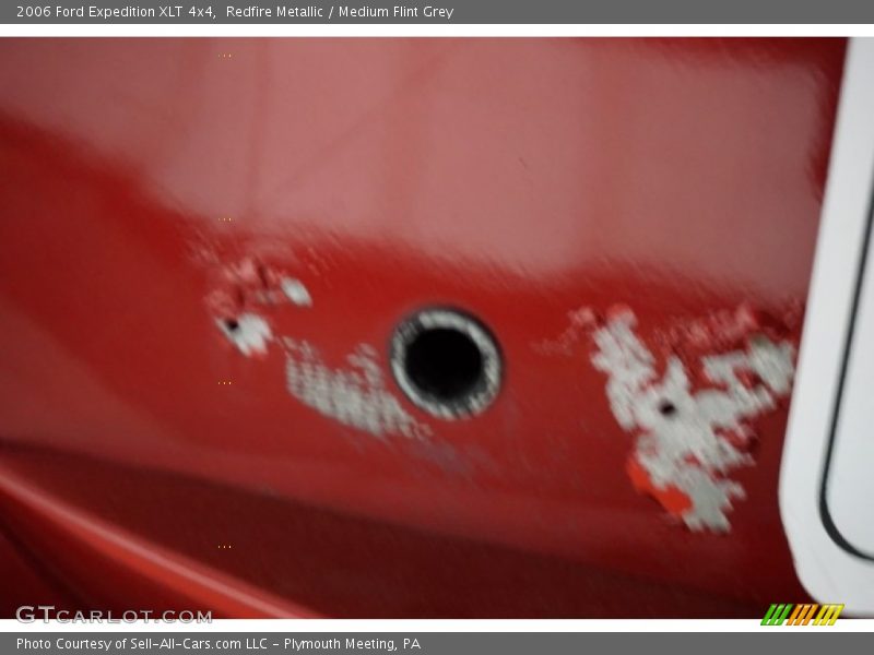 Redfire Metallic / Medium Flint Grey 2006 Ford Expedition XLT 4x4