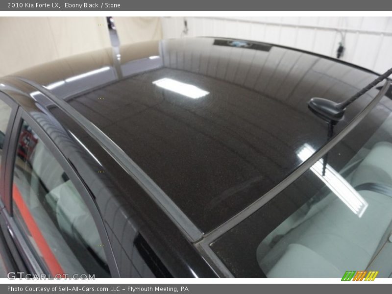 Ebony Black / Stone 2010 Kia Forte LX