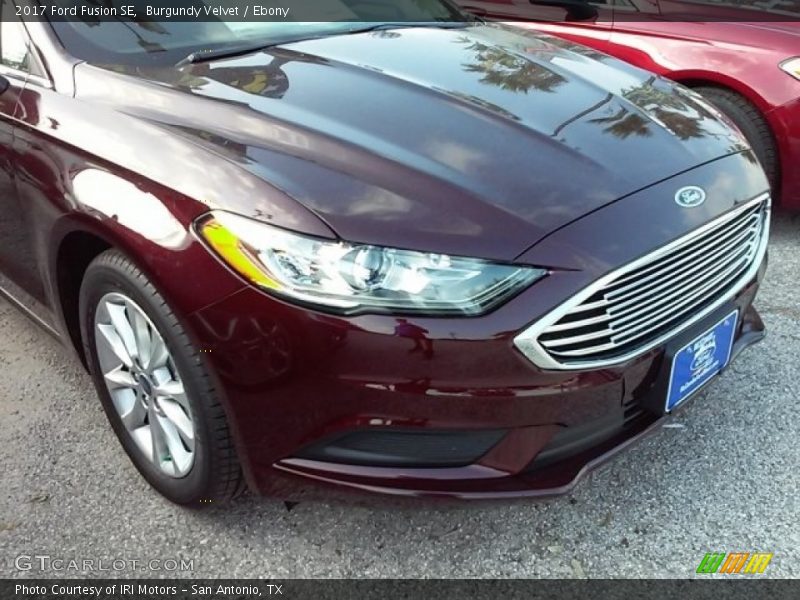 Burgundy Velvet / Ebony 2017 Ford Fusion SE