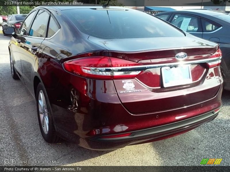 Burgundy Velvet / Ebony 2017 Ford Fusion SE