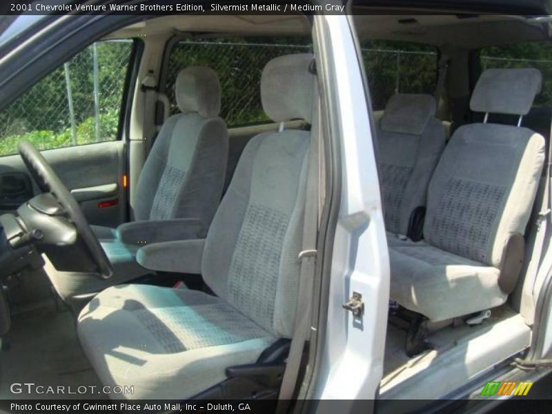 Silvermist Metallic / Medium Gray 2001 Chevrolet Venture Warner Brothers Edition