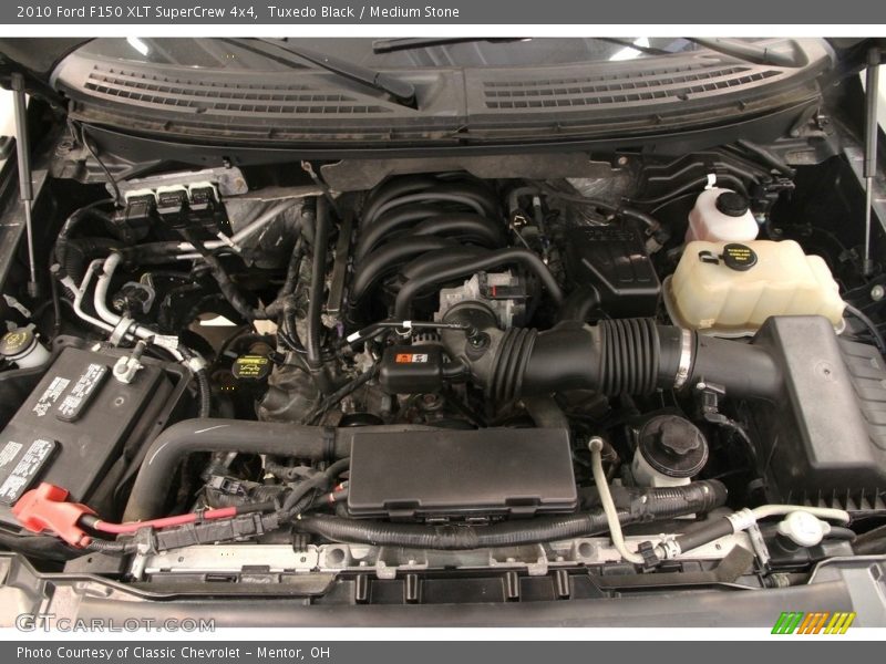 Tuxedo Black / Medium Stone 2010 Ford F150 XLT SuperCrew 4x4
