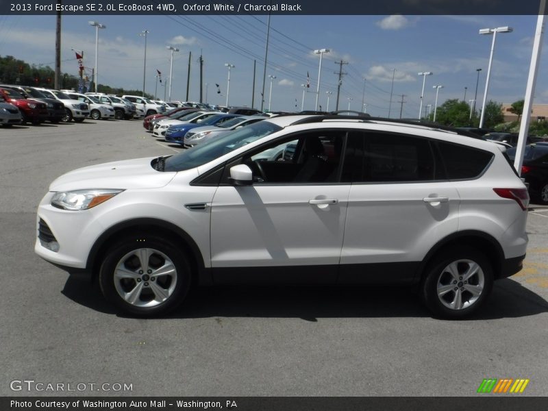 Oxford White / Charcoal Black 2013 Ford Escape SE 2.0L EcoBoost 4WD