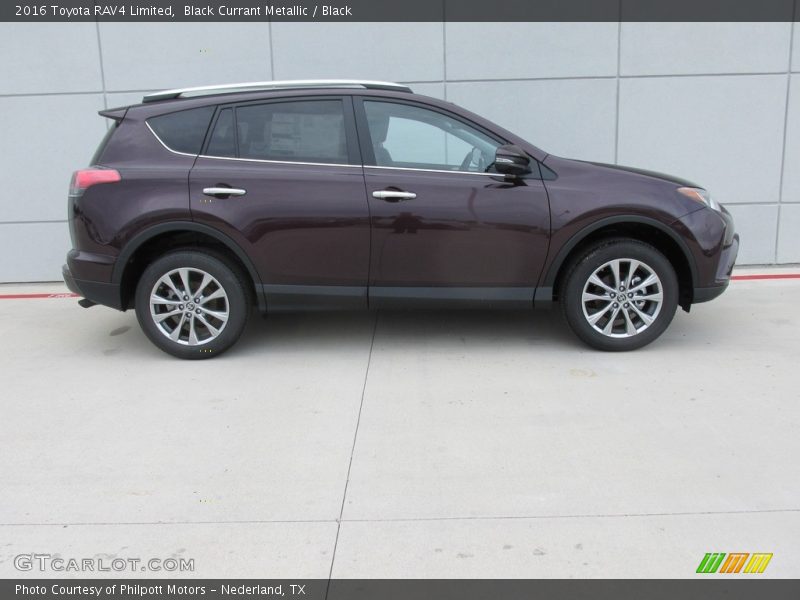  2016 RAV4 Limited Black Currant Metallic