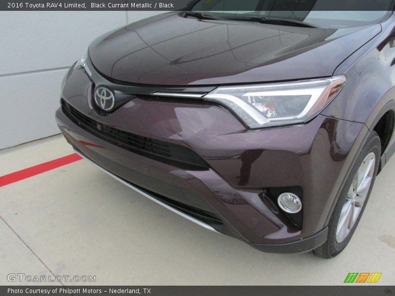 Black Currant Metallic / Black 2016 Toyota RAV4 Limited