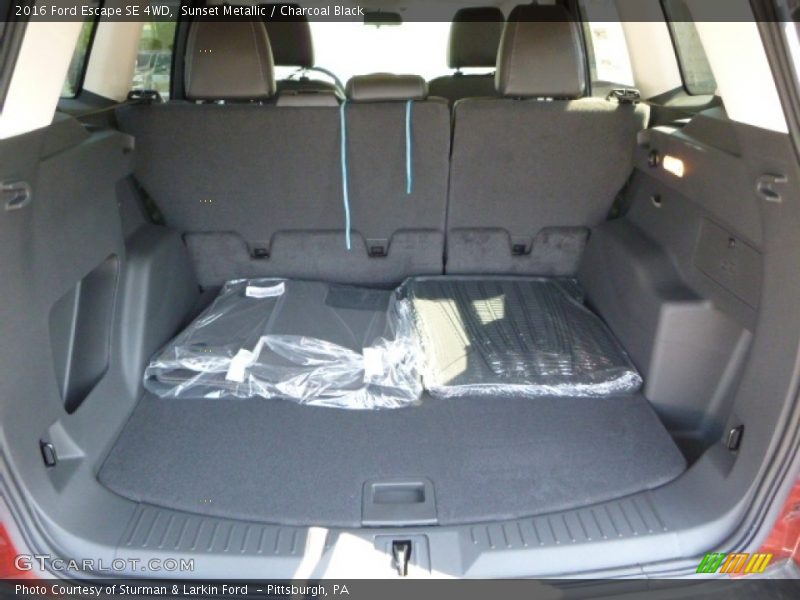 Sunset Metallic / Charcoal Black 2016 Ford Escape SE 4WD