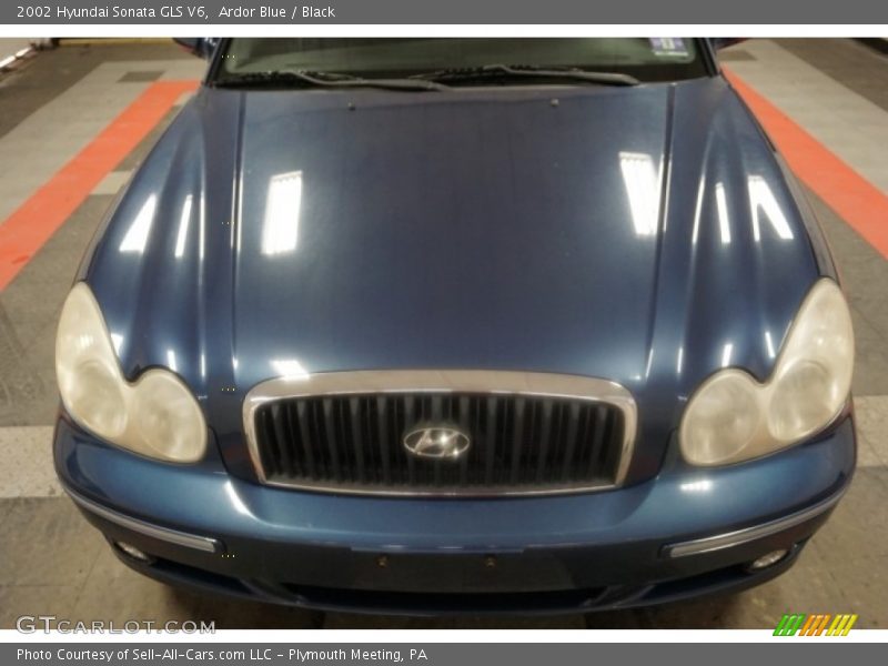 Ardor Blue / Black 2002 Hyundai Sonata GLS V6