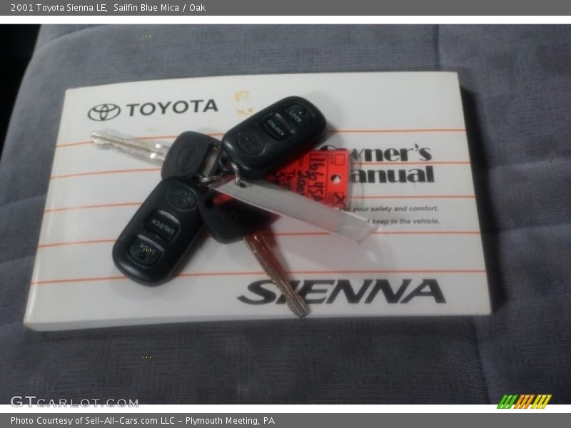 Sailfin Blue Mica / Oak 2001 Toyota Sienna LE