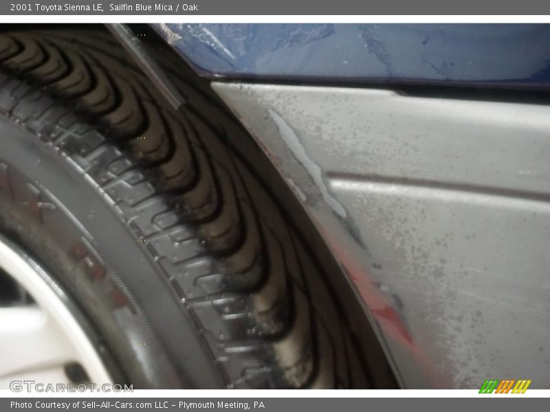 Sailfin Blue Mica / Oak 2001 Toyota Sienna LE