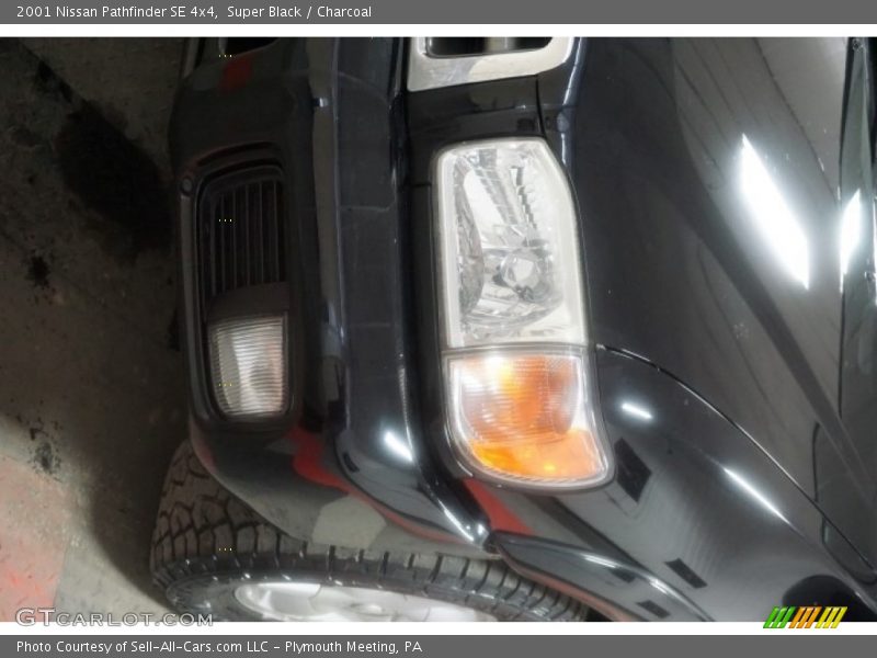 Super Black / Charcoal 2001 Nissan Pathfinder SE 4x4
