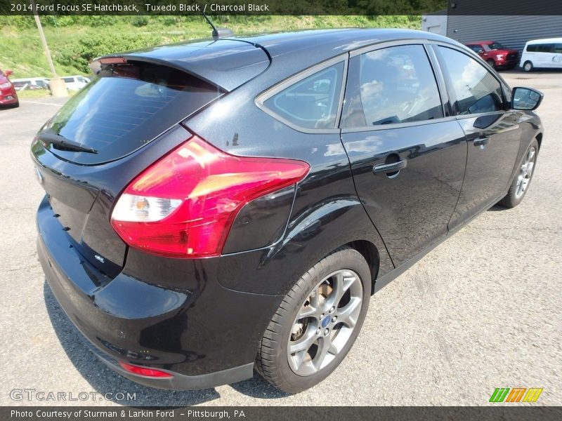 Tuxedo Black / Charcoal Black 2014 Ford Focus SE Hatchback