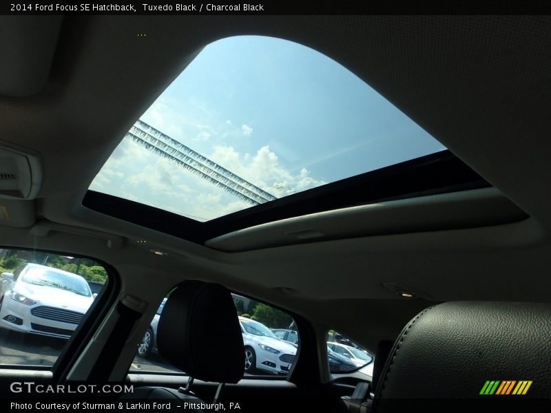 Tuxedo Black / Charcoal Black 2014 Ford Focus SE Hatchback